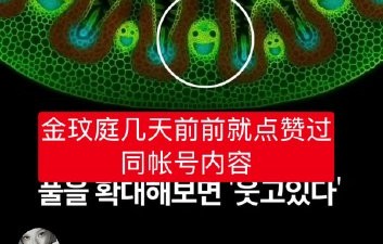 两人点赞同一条NASA科普帖为何会被传恋情？