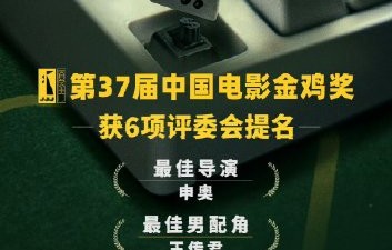 申奥导演的《孤注一掷》获得过哪些提名