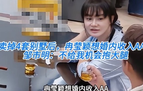 冉莹颖目前靠哪些工作支撑家庭经济？