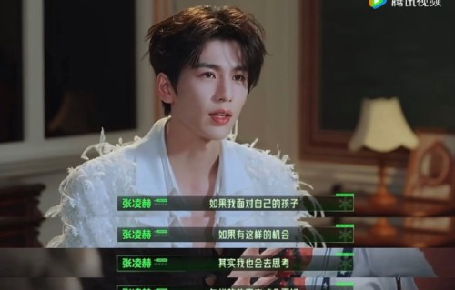 网友如何评价张凌赫的带娃表现和亲和力？