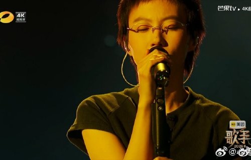 窦靖童在《歌手2026》中演唱了哪首王菲和窦唯合作的作品？