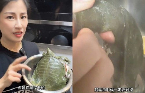 洪金宝儿媳亲手焖甲鱼吓到网友，厨艺获其认可，主动为洪家班开拓业务