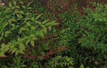 心底留住暖阳，放平心态沉淀自身，好好活在当下，美好自然相逢_1785854365164