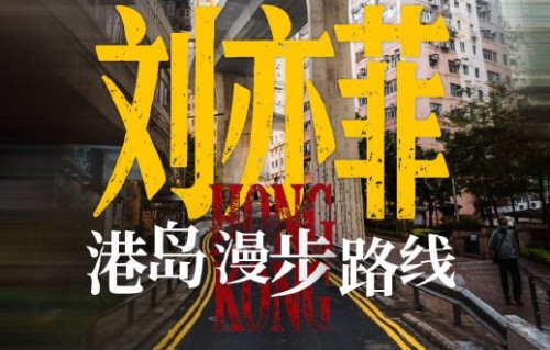 网友如何评价刘亦菲的《浮城如戏台》表现力？