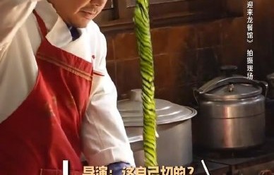 沈腾在哪个综艺节目上展示了蓑衣黄瓜刀工？