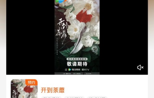 白鹿新剧《开到荼蘼》预计什么时候播出？
