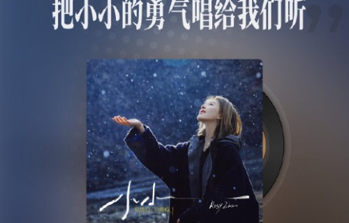 赵露思《小小》上线后取得了哪些音乐榜单成绩？