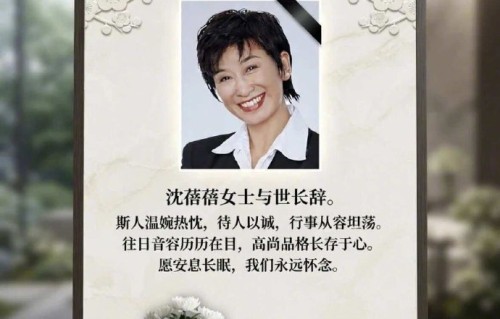 凤凰卫视元老沈蓓蓓离世，众主持人悼念‘大家长’|事务部|母亲|刘珊玲|极乐世界|资讯台