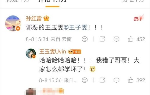 王玉雯回应孙红雷的“我错了哥哥”是什么梗？