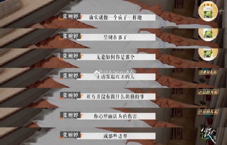 张婉婷身世起底：非亲生+婚姻危机，舆论为何两极？