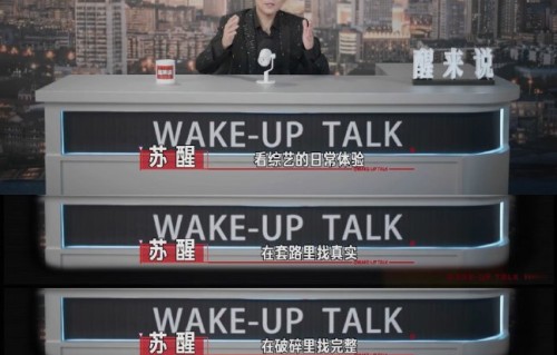 苏醒在《醒来说》节目中还提到了哪些娱乐圈的现象？