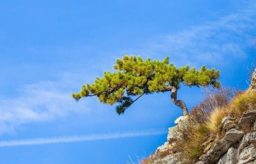 人过八十，最后一张底牌，多数人都没想到，保住就是厉害的老人_1785793064818