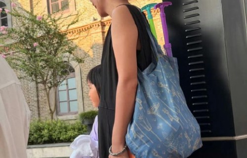 张婉婷和宋宁峰目前感情状况如何？