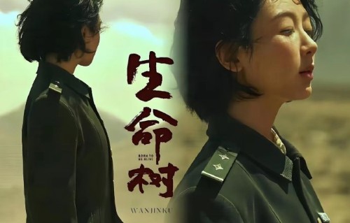 杨紫主演的哪部作品让她成为90后白玉兰奖首位视后？