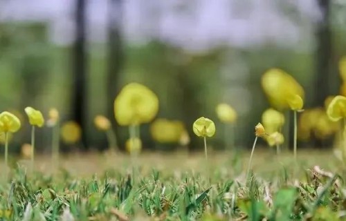 人到七十才顿悟：晚年最怕的不是病痛与生死，而是这3道暗坎_1785636902604