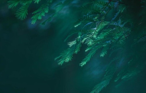人到晚年，给自己添置这3样东西，不拖累儿女，自己也不遭罪_1786152175990
