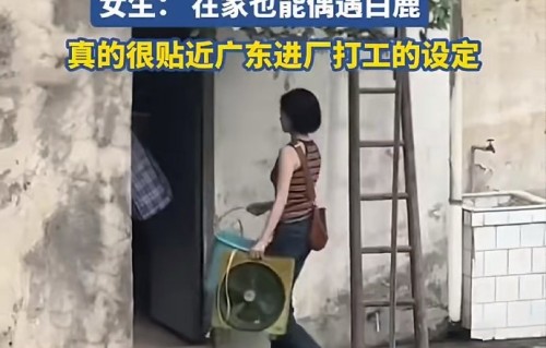 白鹿回常州武进翻修祖宅的行程是私人行程吗？