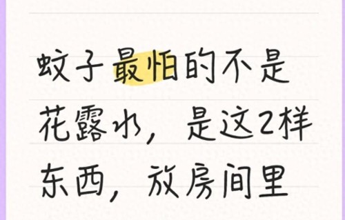 蚊子最怕的不是花露水，是这2样东西，放房间里整晚少有蚊子咬