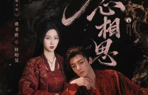 《念相思》剧版对原著男二“不洁”设定做了哪些改编调整？