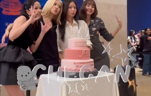 BLACKPINK十周年合体直播仅11分钟，金智秀道歉|粉丝|活动|见面会|音乐节|全员