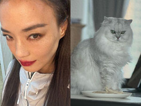  打开网易新闻 查看精彩图片 