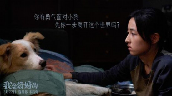 张子枫和狗狗演员有大量对手戏