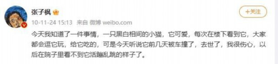 9岁的张子枫当时在微博悼念流浪小猫