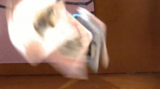 张子枫和去世小猫壬子的合照