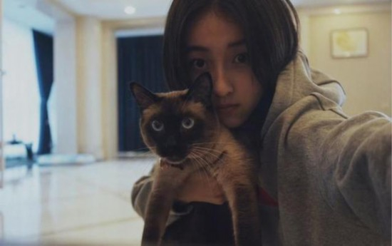 张子枫和去世小猫壬子的合照