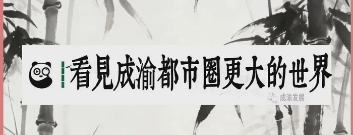 打开网易新闻 查看精彩图片