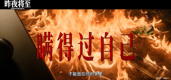 打开网易新闻 查看精彩图片