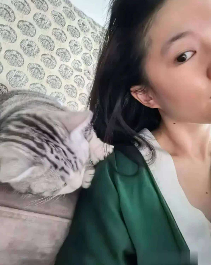 这些社死瞬间,不仅没有让她失去粉丝,反而让她看起来更加真实、鲜活和可爱。如今的她,因为这些猫咪,成了邻家那位温柔善良、偶尔有些狼狈但无比真实的漂亮姐姐。她的形象更具亲和力,仿佛就是那种生活中会与猫咪一起打闹、一起笑的普通人,而非遥不可及的明星。